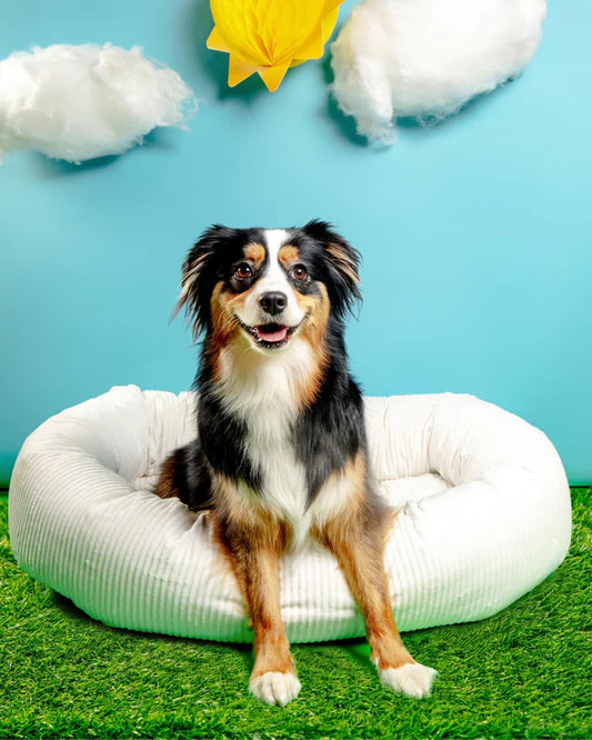 Donut Micro-Velvet Dog Bed